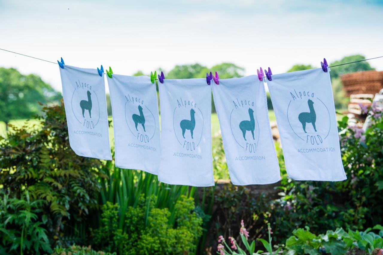Alpaca Fold Preston (Lancashire) Exterior foto